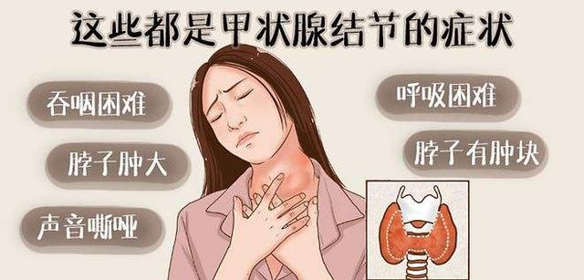 甲状腺.jpeg