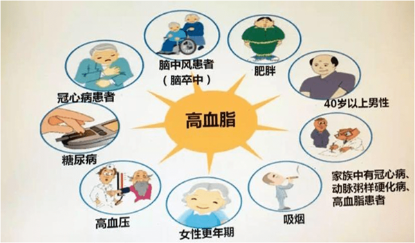 高血脂.png