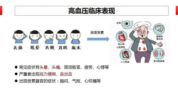 高血压 (4).jpeg