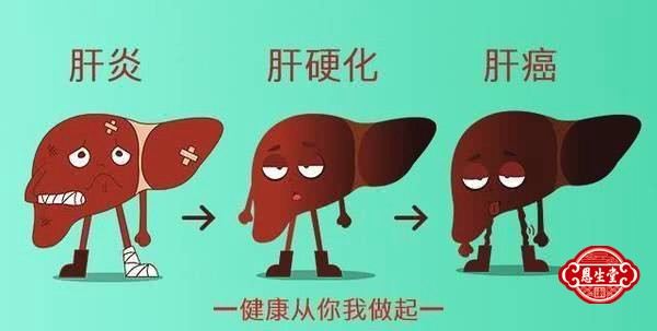 肝硬化 (2).jpg