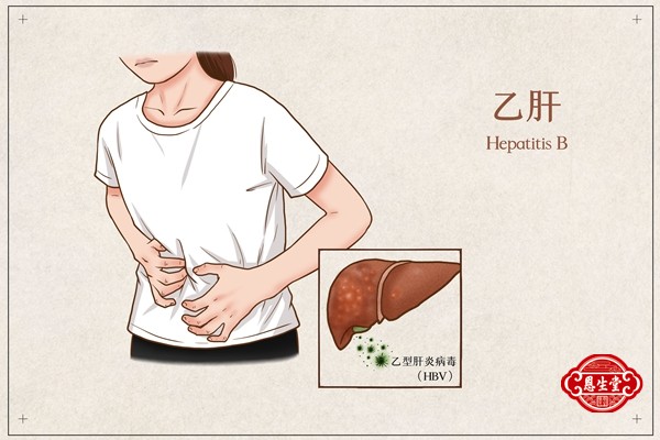 慢性乙肝.jpg