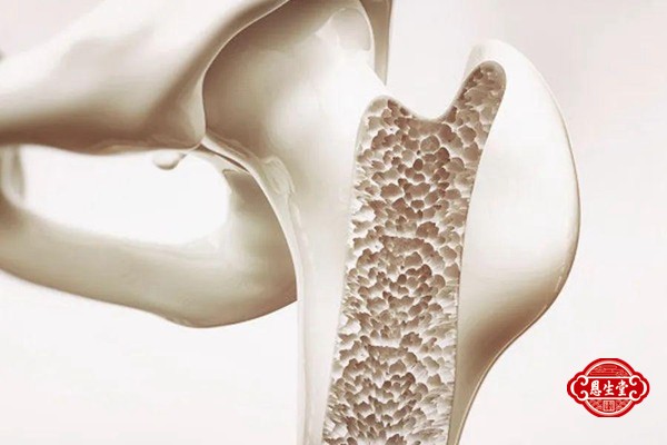 1708930317189531.jpg 骨质疏松 (1)02.jpg