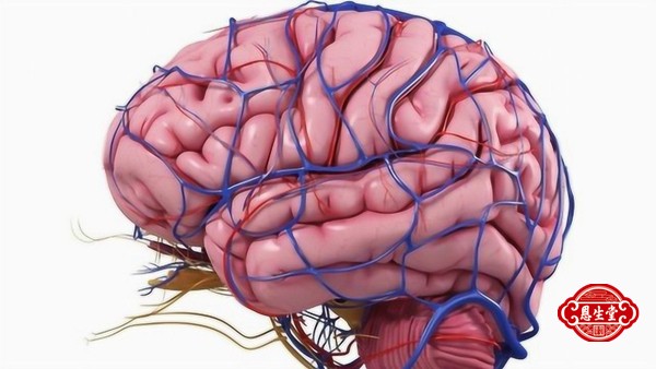 1709449842188406.jpg 脑动脉硬化 (6)09.jpg