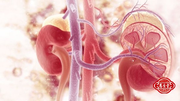 1711431126565597.jpg 肾炎 (9)13.jpg