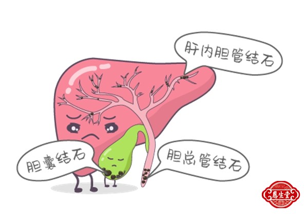 胆囊结石 (8)19.jpg