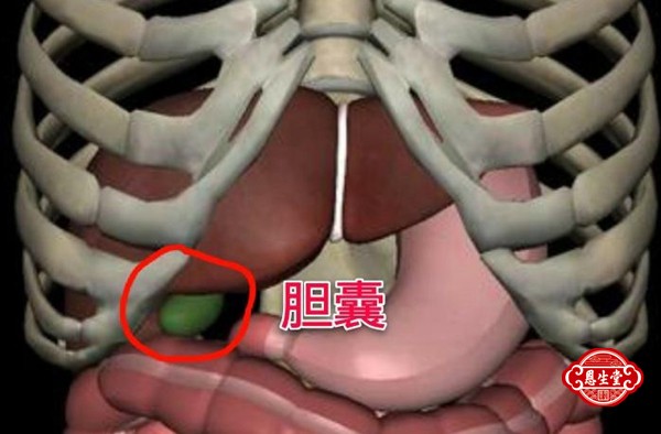 胆囊炎 (2)11.jpg