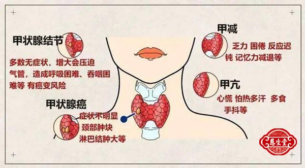 甲状腺 (1)1.jpg