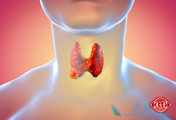 甲状腺 (1)2.jpg