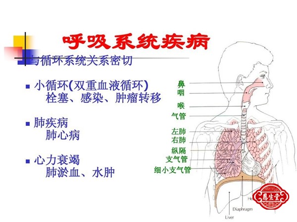 呼吸道疾病 (3)10.jpg