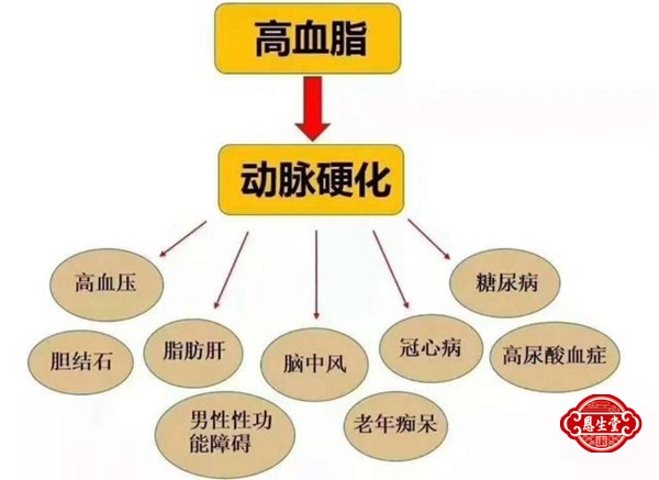 高血脂 (4)19.jpg