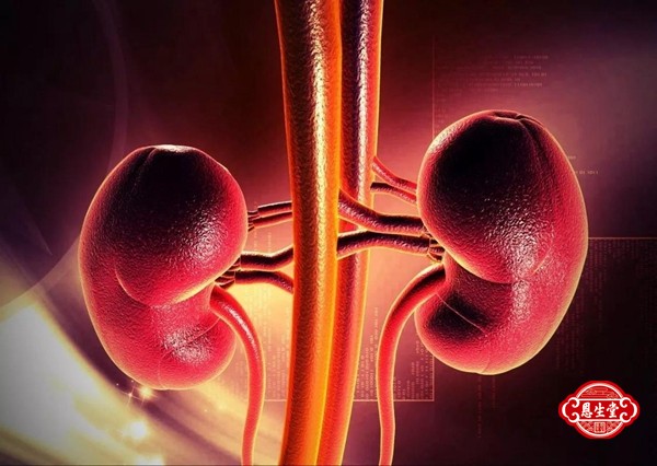 肾炎 (4)08.jpg
