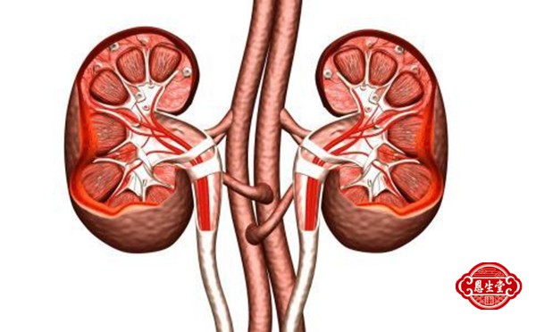 1720505044431741.jpg 肾炎 (1)03.jpg