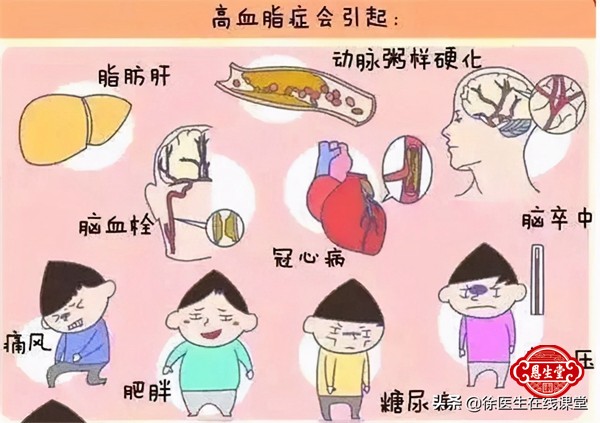 高血脂 (10)02.jpg